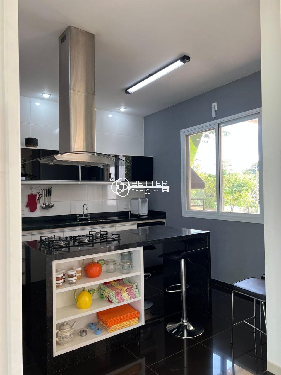 Casa, 4 quartos, 520 m² - Foto 13