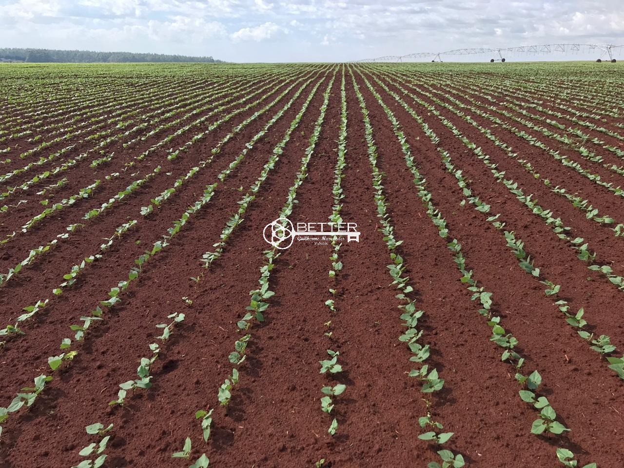 Fazenda, 511 m² - Foto 7