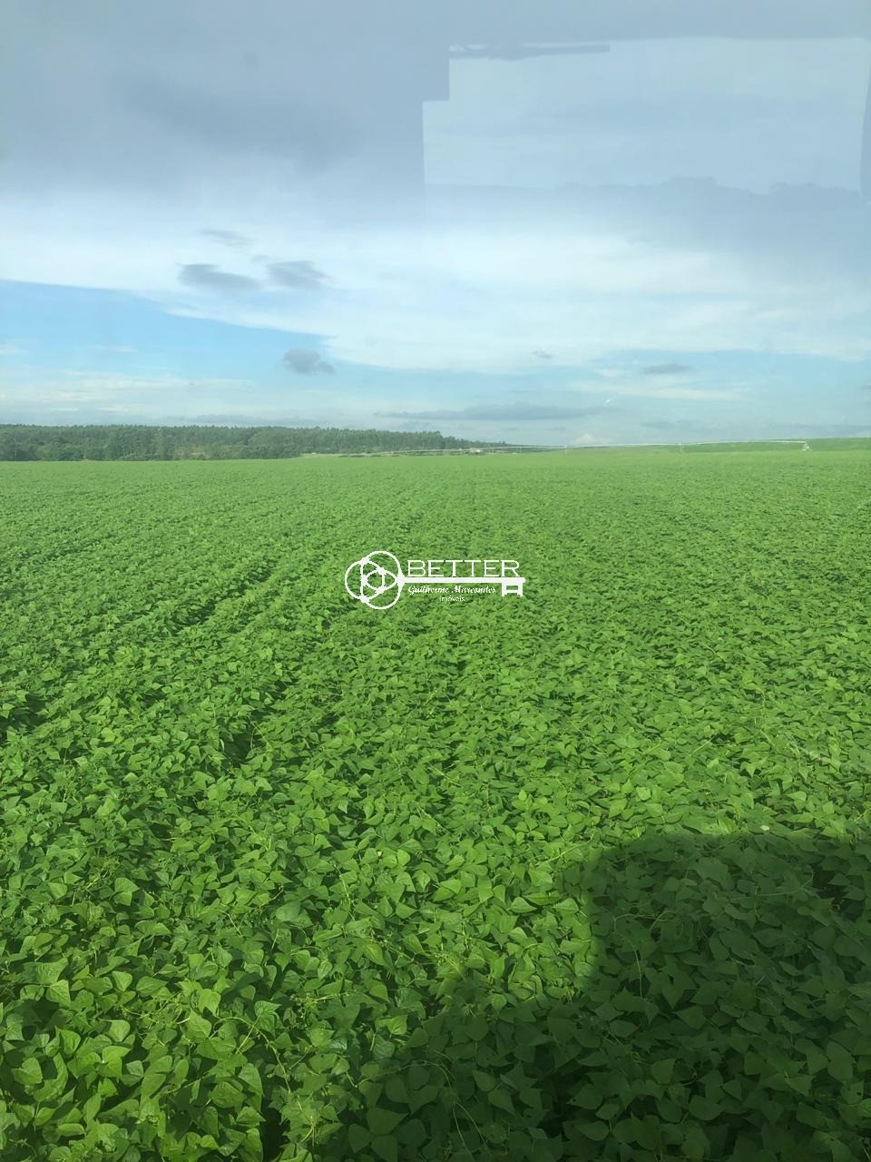Fazenda, 511 m² - Foto 10