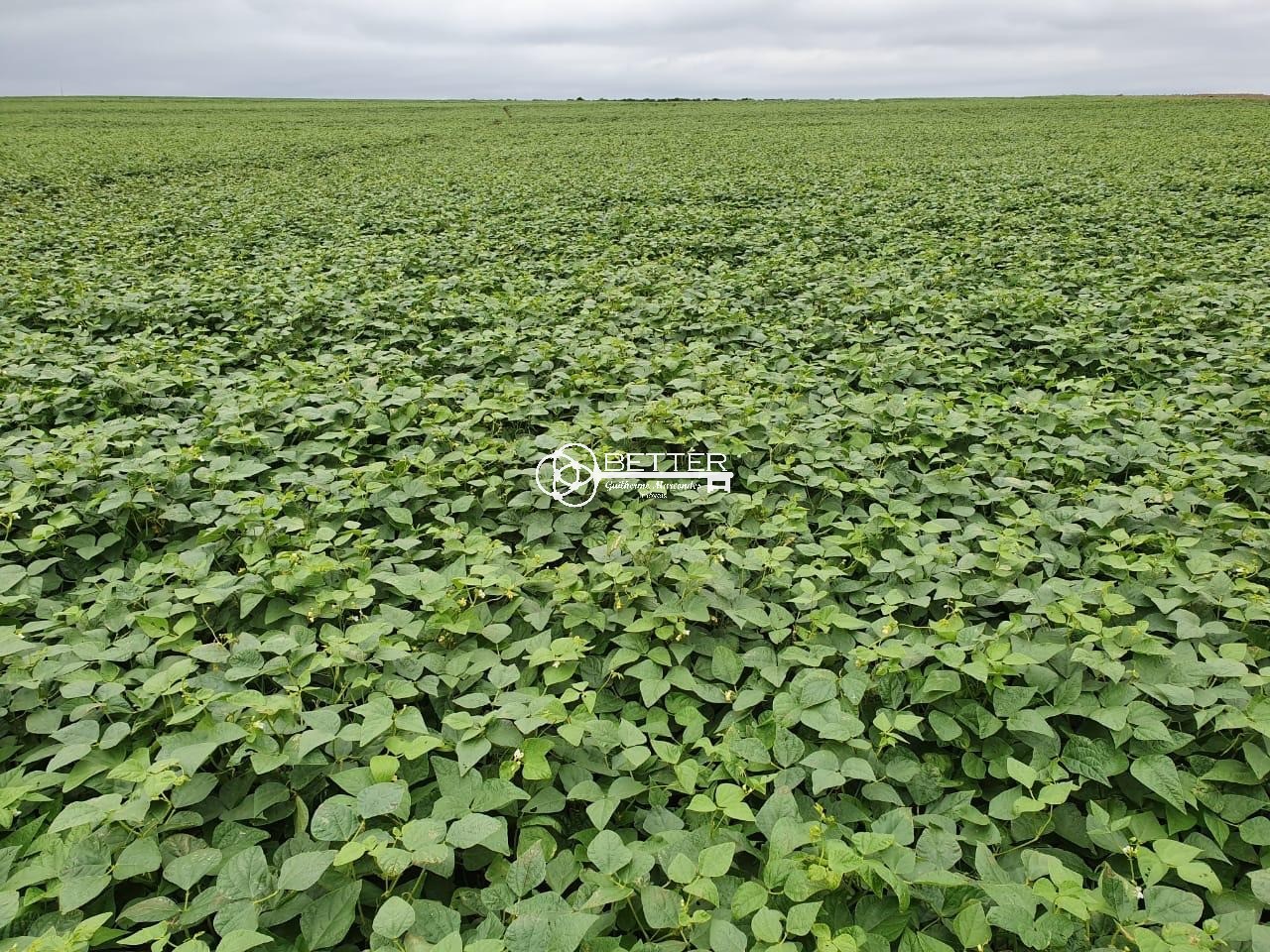 Fazenda, 511 m² - Foto 11