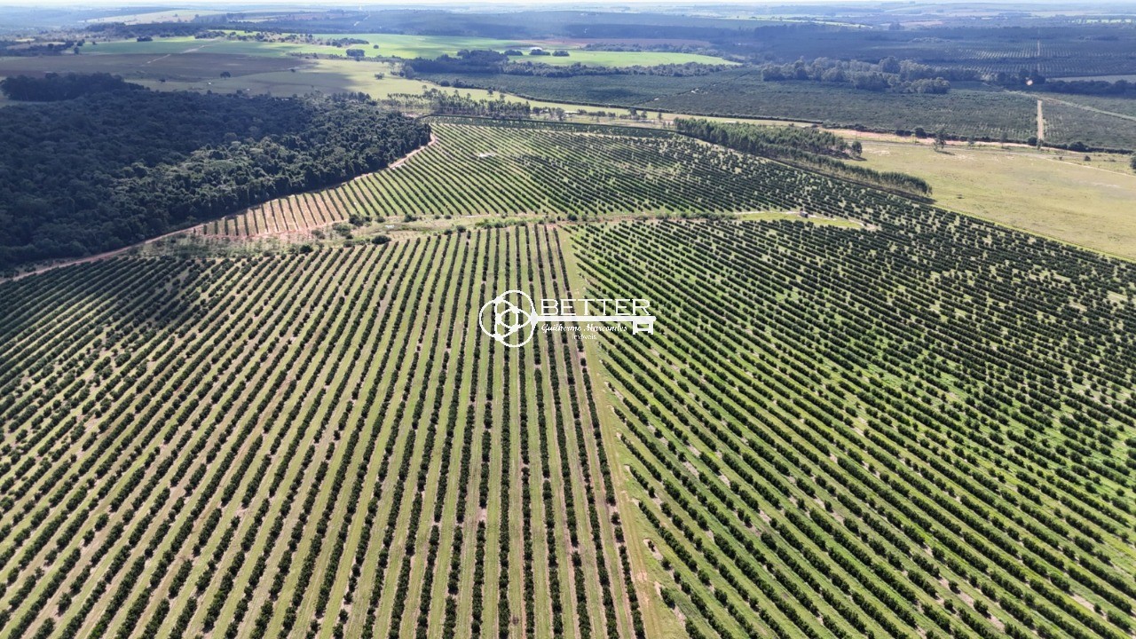 Fazenda, 511 m² - Foto 5