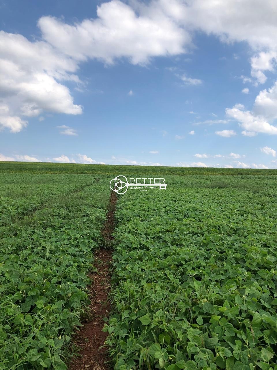 Fazenda, 511 m² - Foto 9