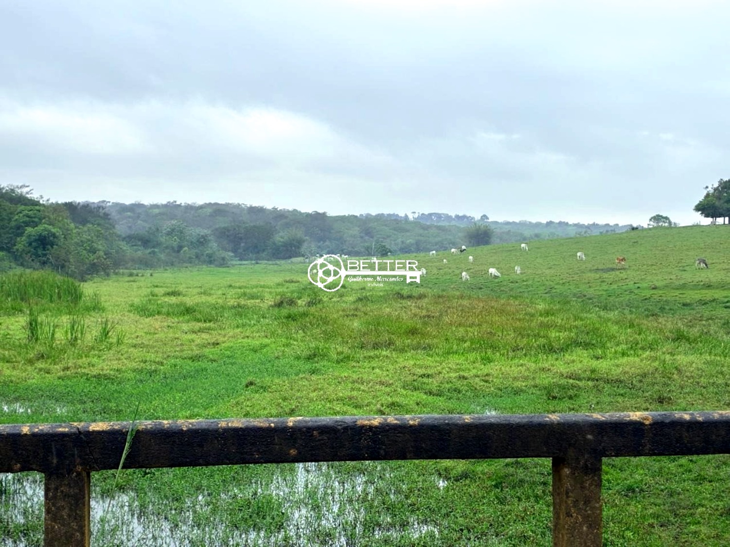 Fazenda, 12 hectares - Foto 1