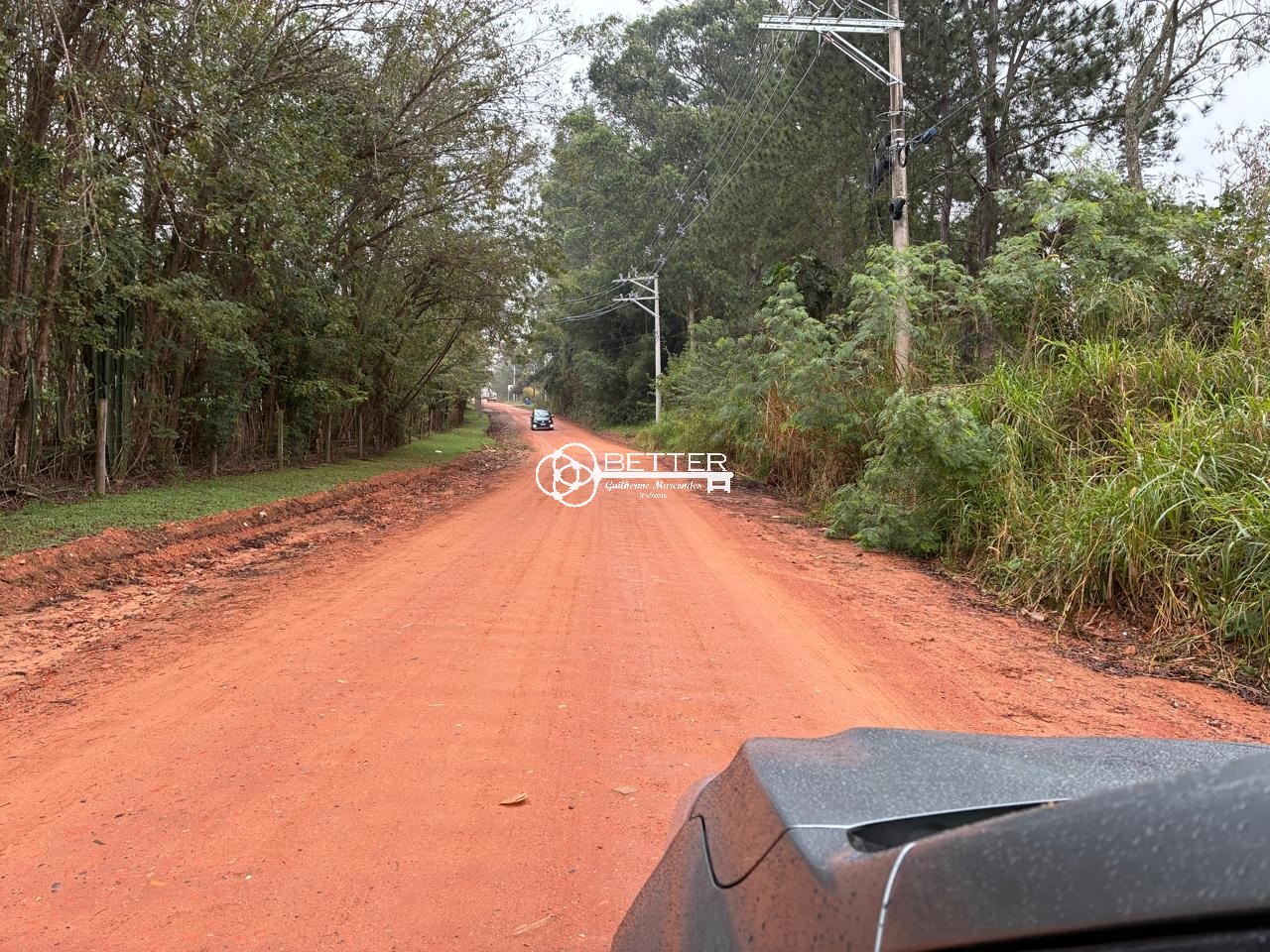 Fazenda, 12 hectares - Foto 8