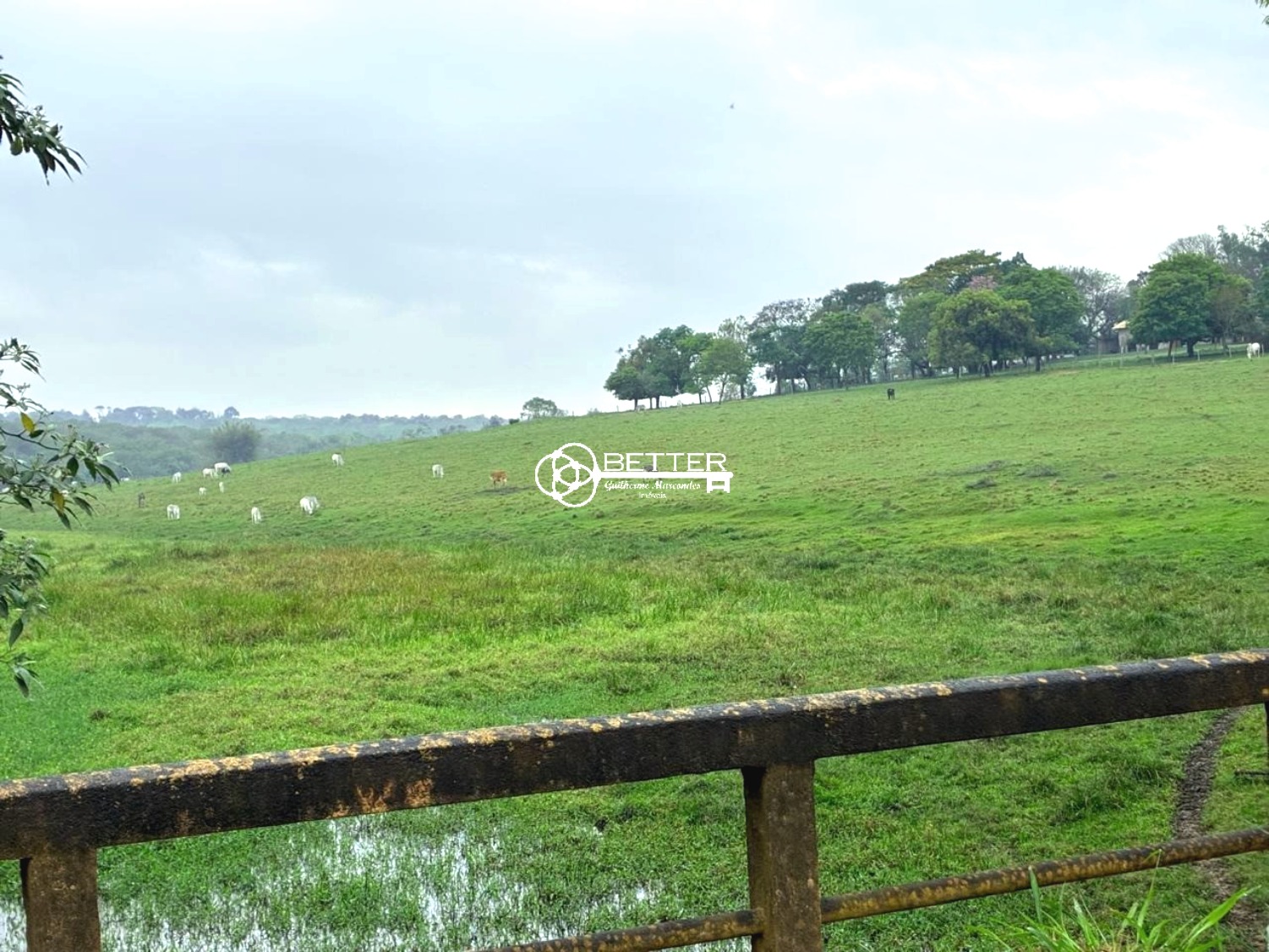 Fazenda, 12 hectares - Foto 2