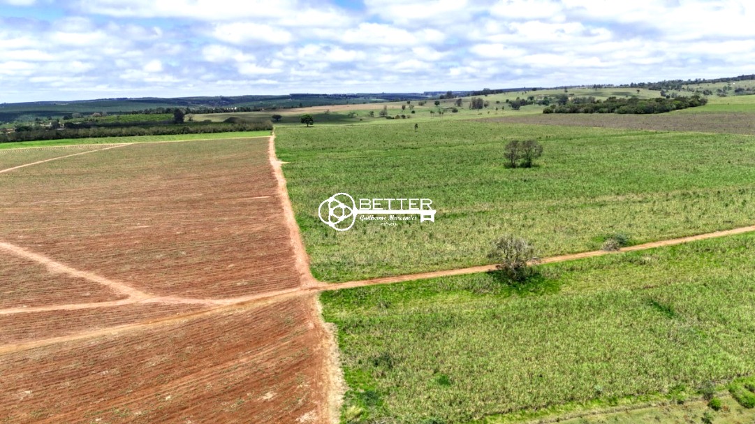 Fazenda, 99 m² - Foto 4