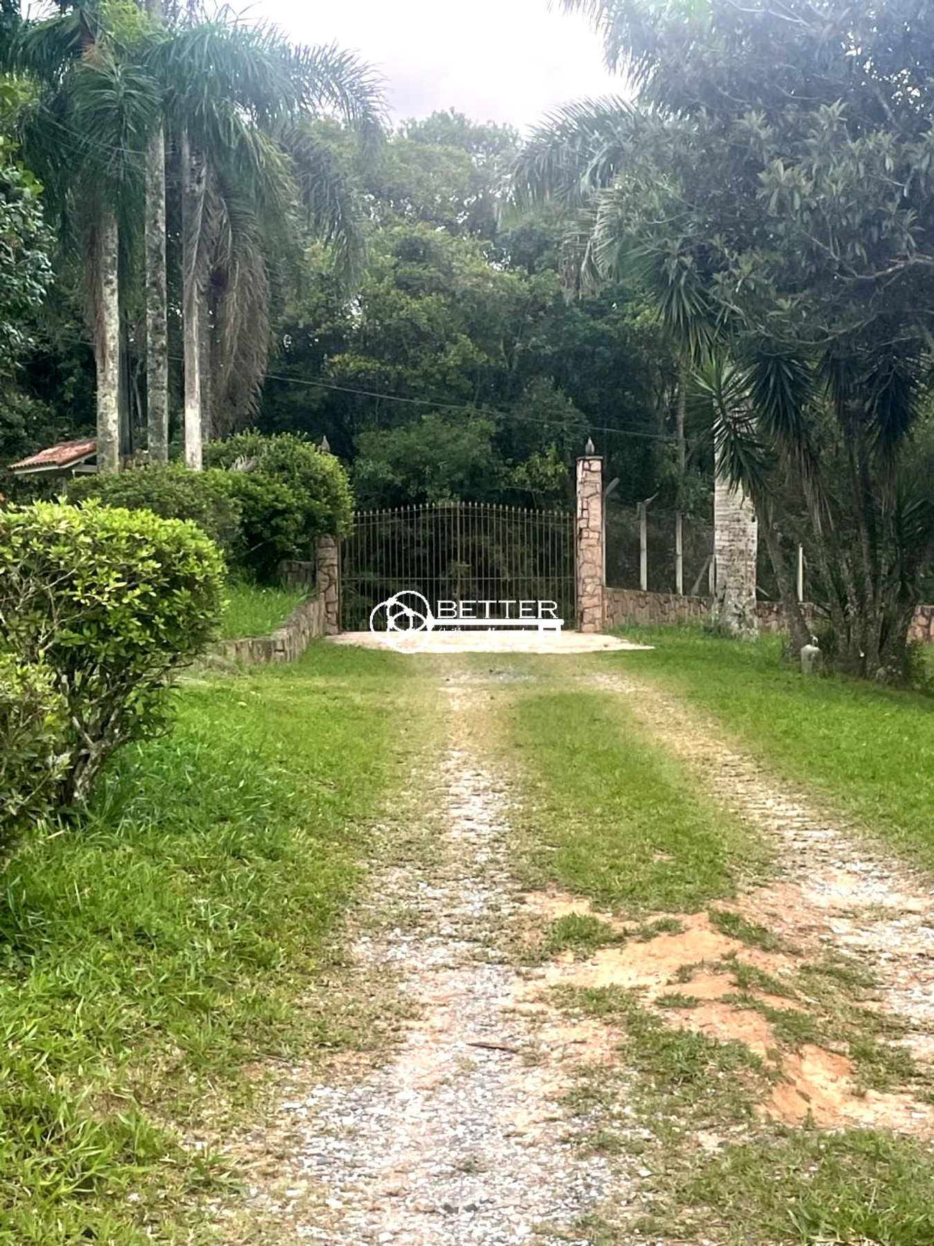 Fazenda, 4 m² - Foto 3