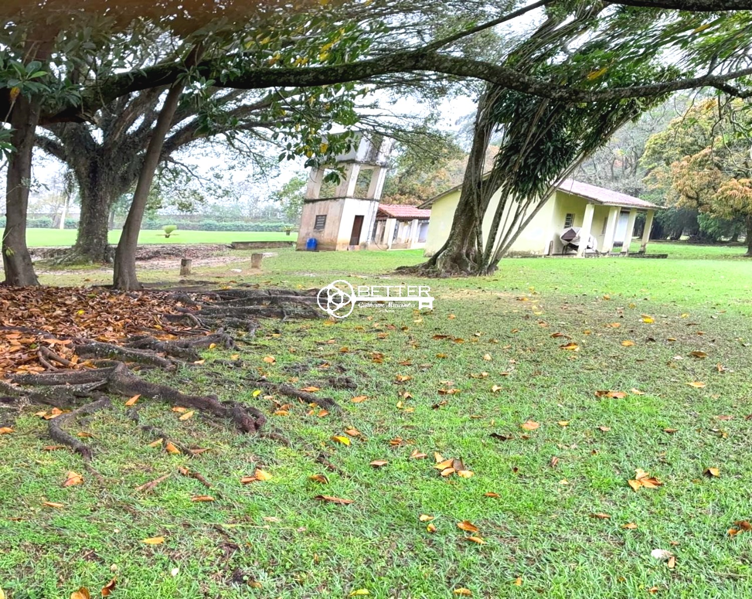 Fazenda, 12 hectares - Foto 4