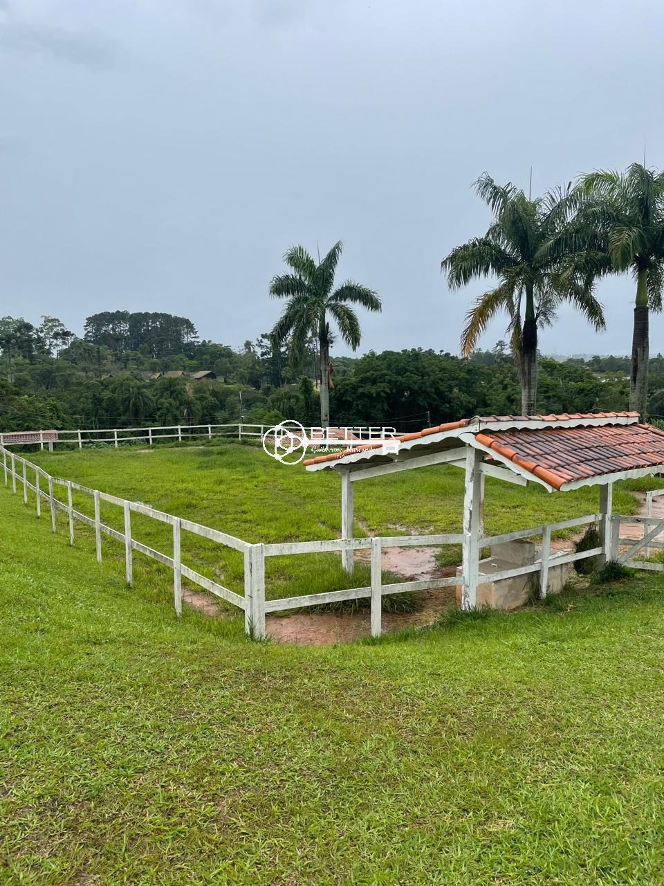 Fazenda, 4 m² - Foto 6