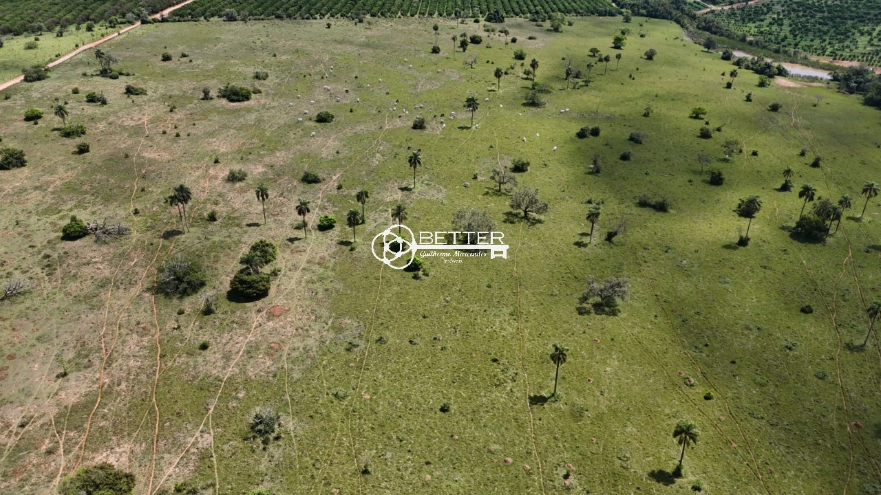 Fazenda, 99 m² - Foto 14