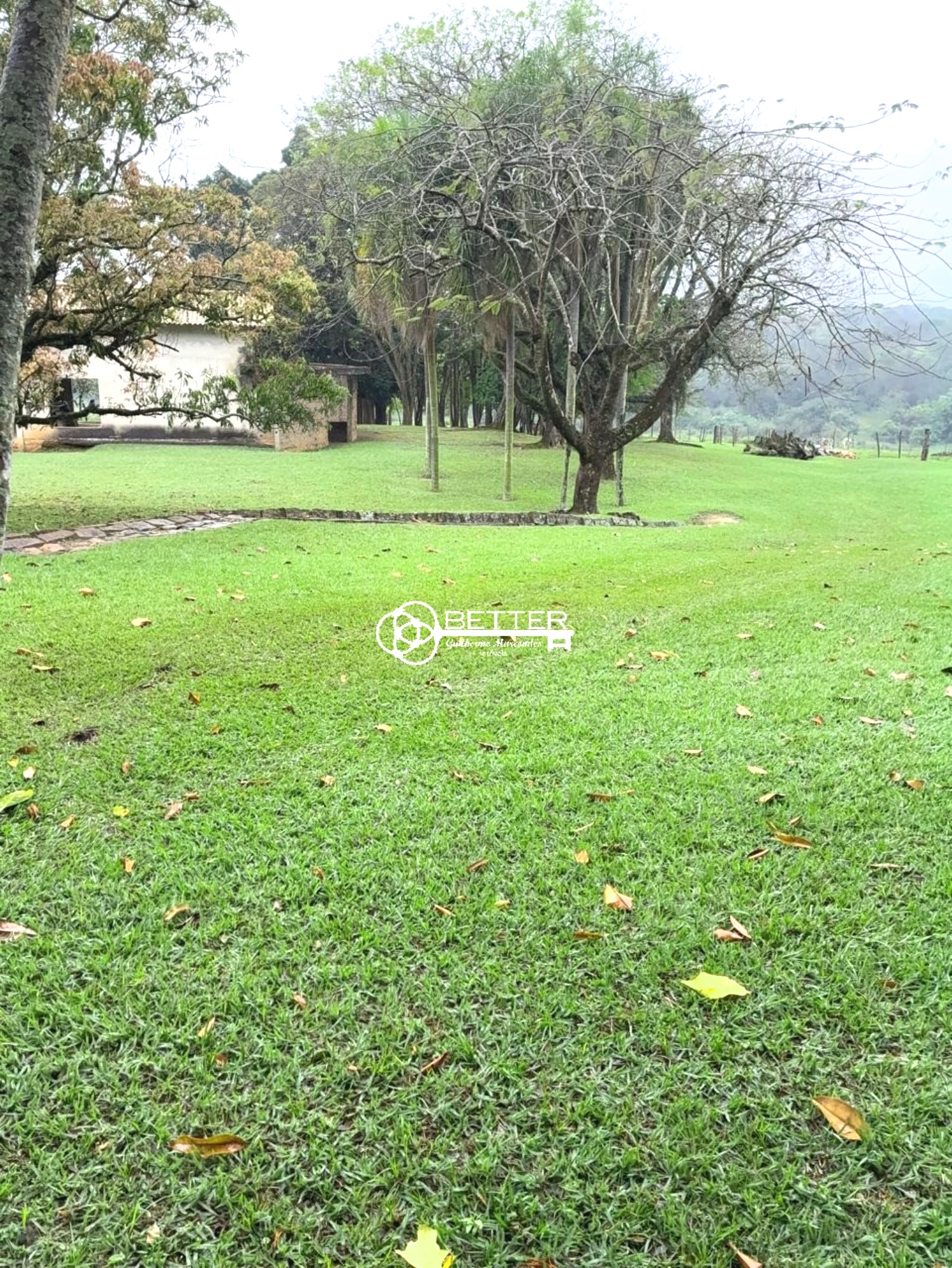 Fazenda, 12 hectares - Foto 6