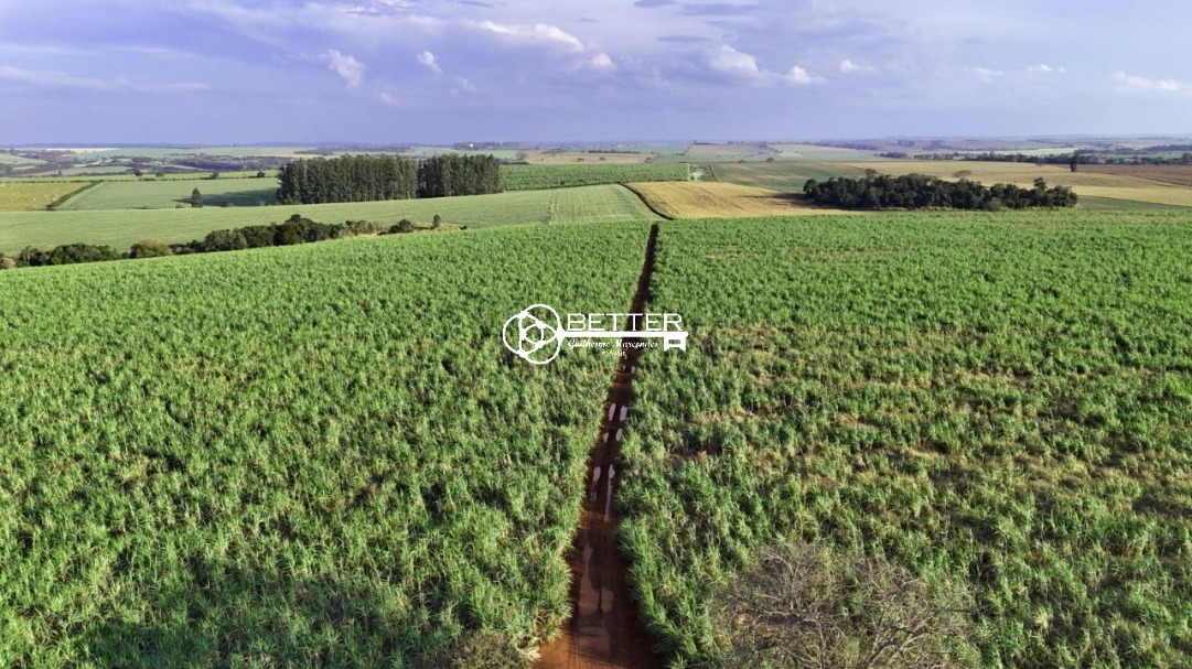Fazenda, 24 m² - Foto 9