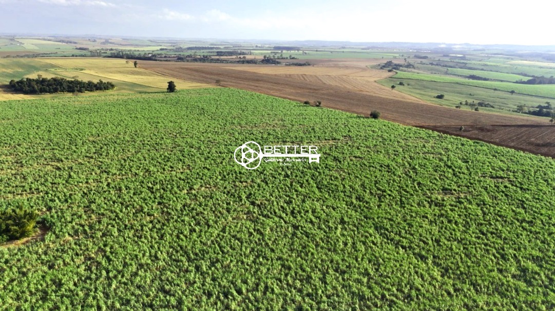 Fazenda, 24 m² - Foto 14