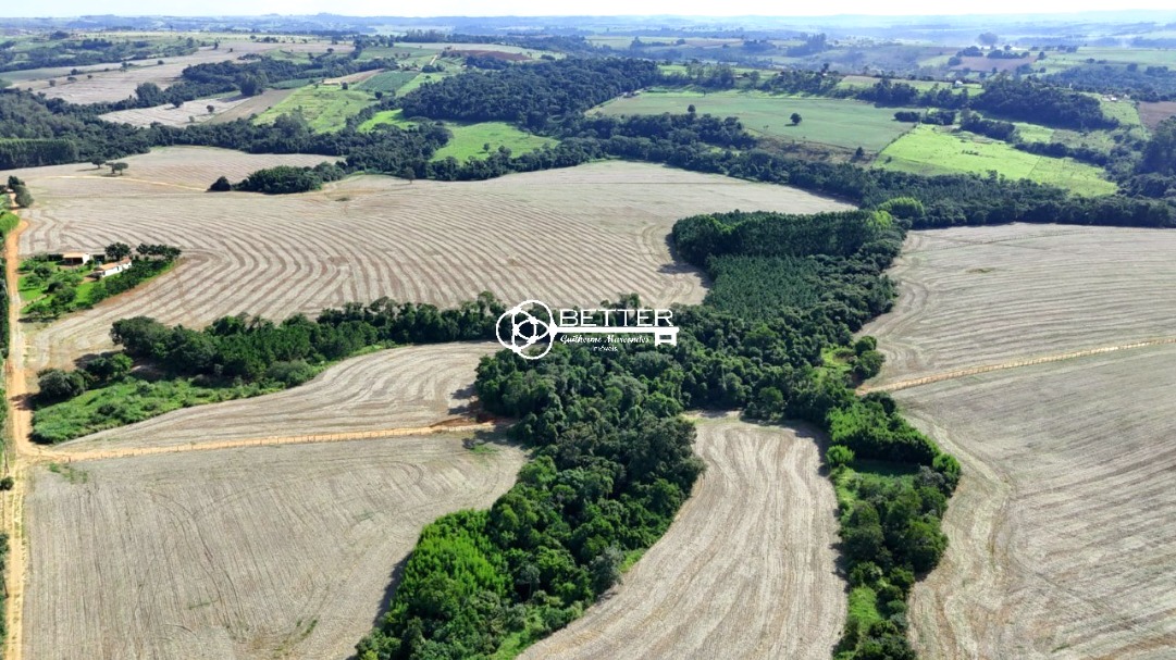 Fazenda, 33 m² - Foto 12