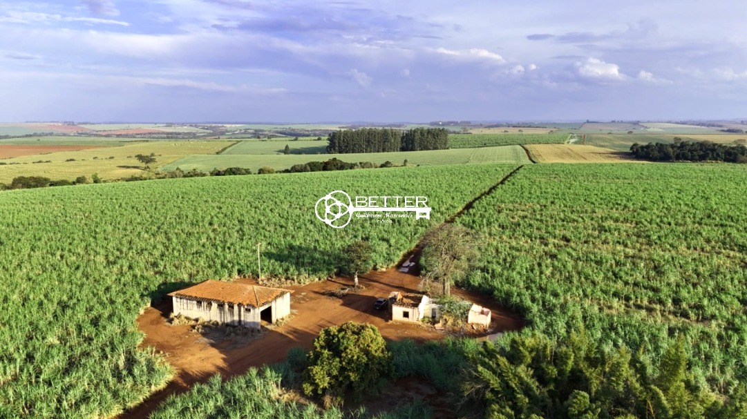 Fazenda, 24 m² - Foto 12