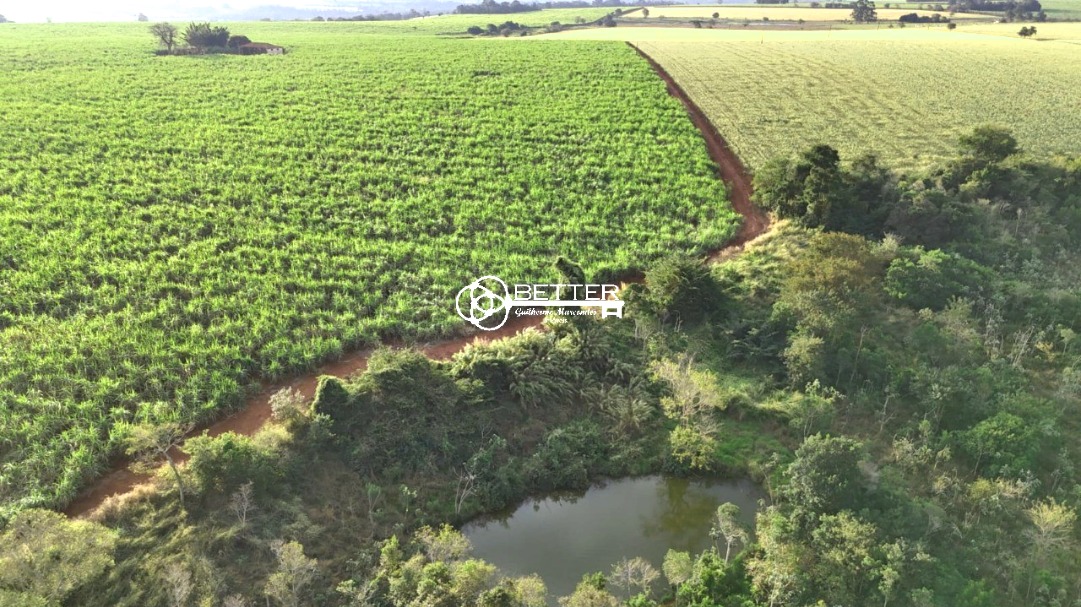 Fazenda, 24 m² - Foto 6