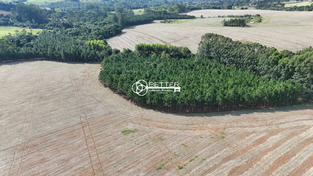 Fazenda, 33 m² - Foto 5
