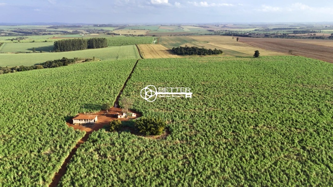 Fazenda, 24 m² - Foto 10