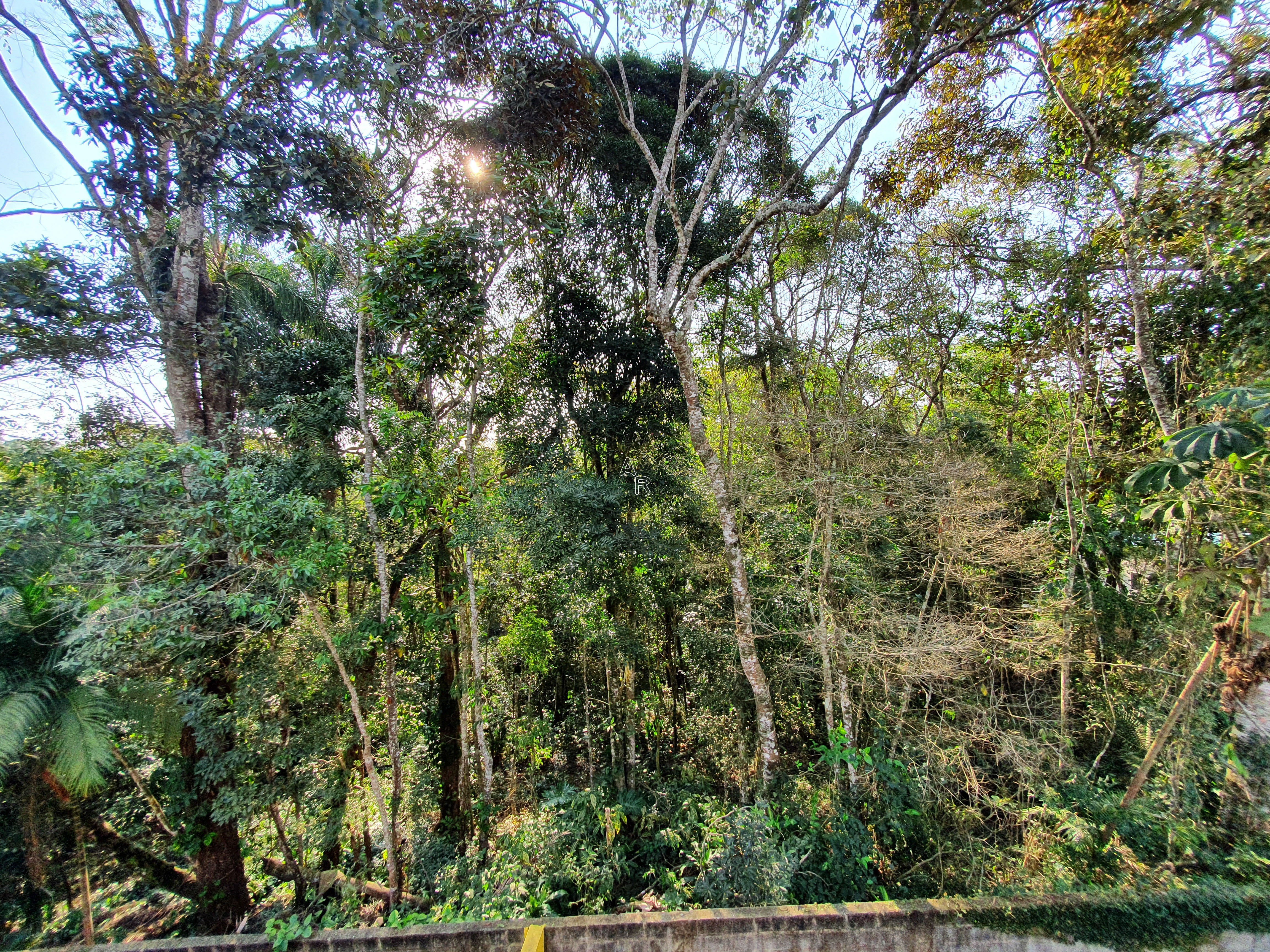 Casa, 4 quartos, 369 m² - Foto 54