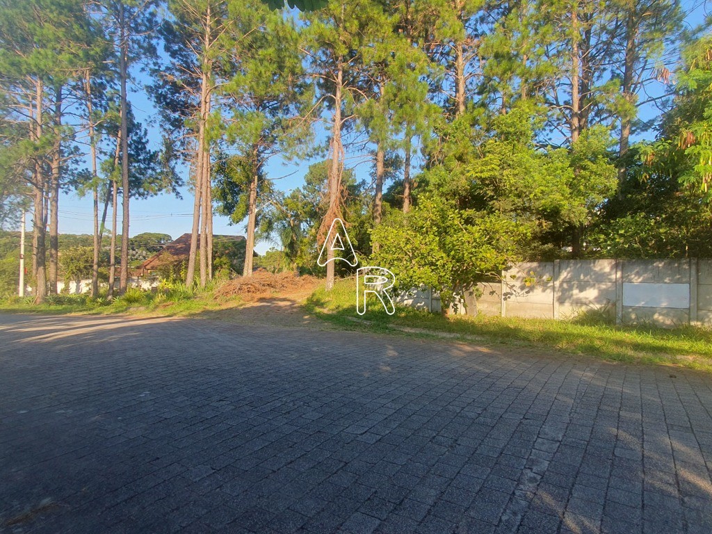 Terreno, 586 m² - Foto 7