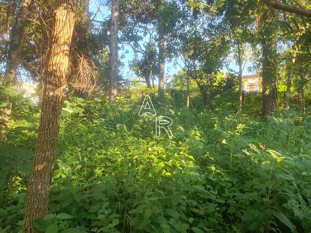 Terreno, 586 m² - Foto 5