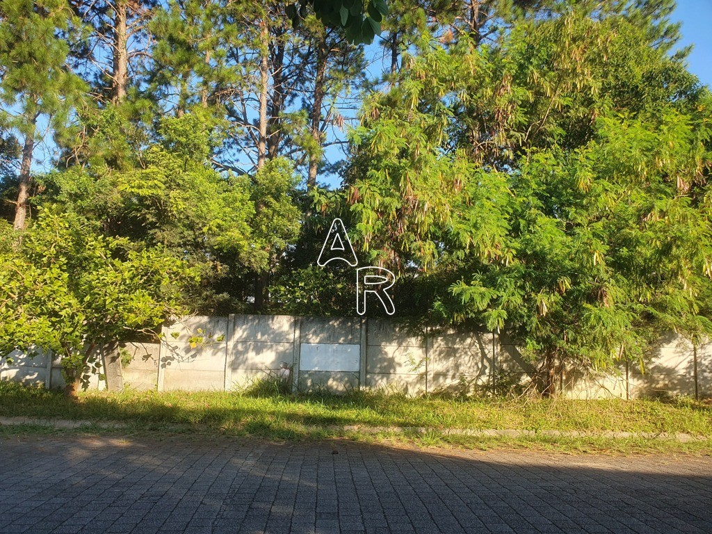 Terreno, 586 m² - Foto 11
