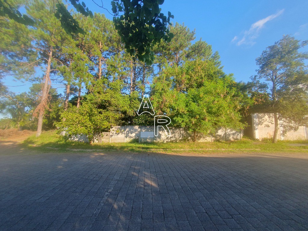 Terreno, 586 m² - Foto 6
