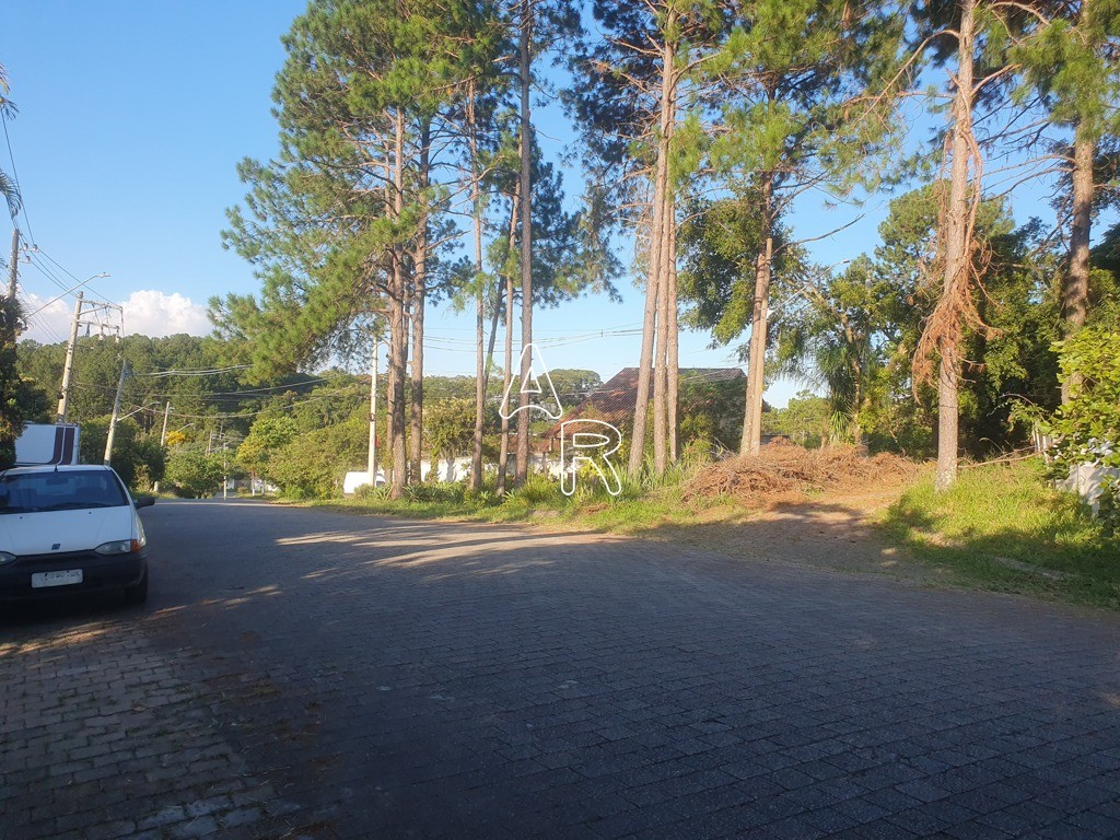 Terreno, 586 m² - Foto 8