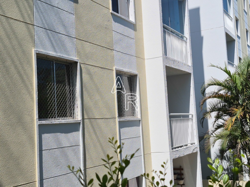 Apartamento, 3 quartos, 65 m² - Foto 41