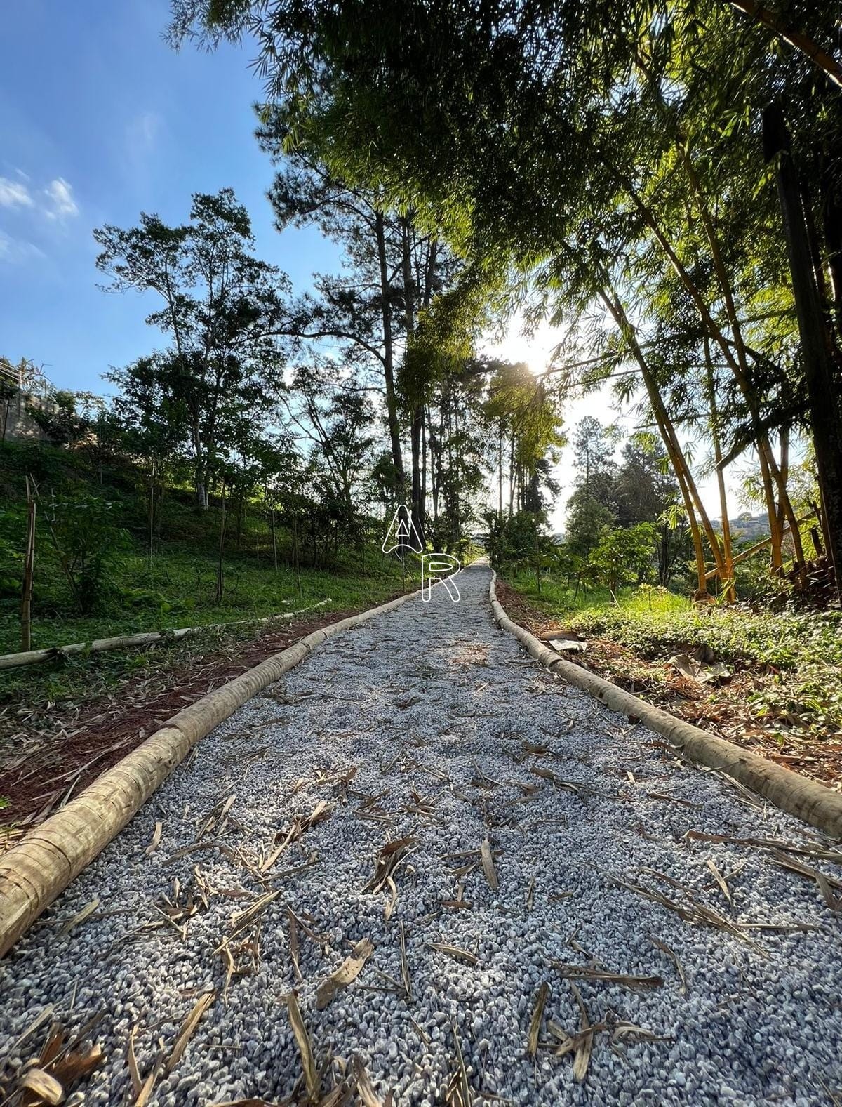 Terreno, 233 m² - Foto 4