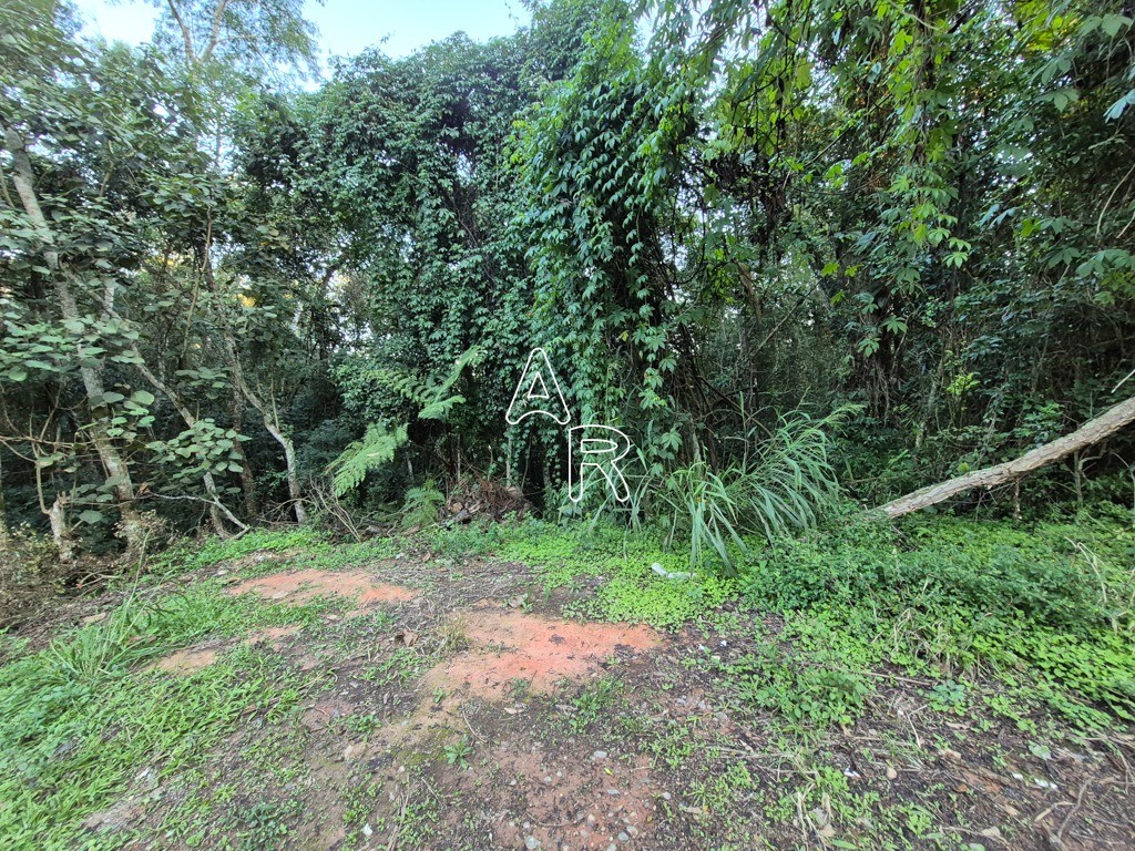 Terreno, 8090 m² - Foto 6
