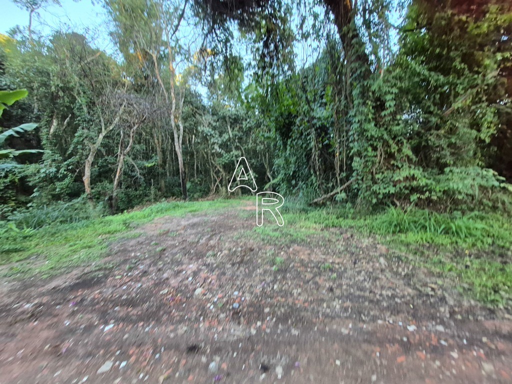 Terreno, 8090 m² - Foto 3