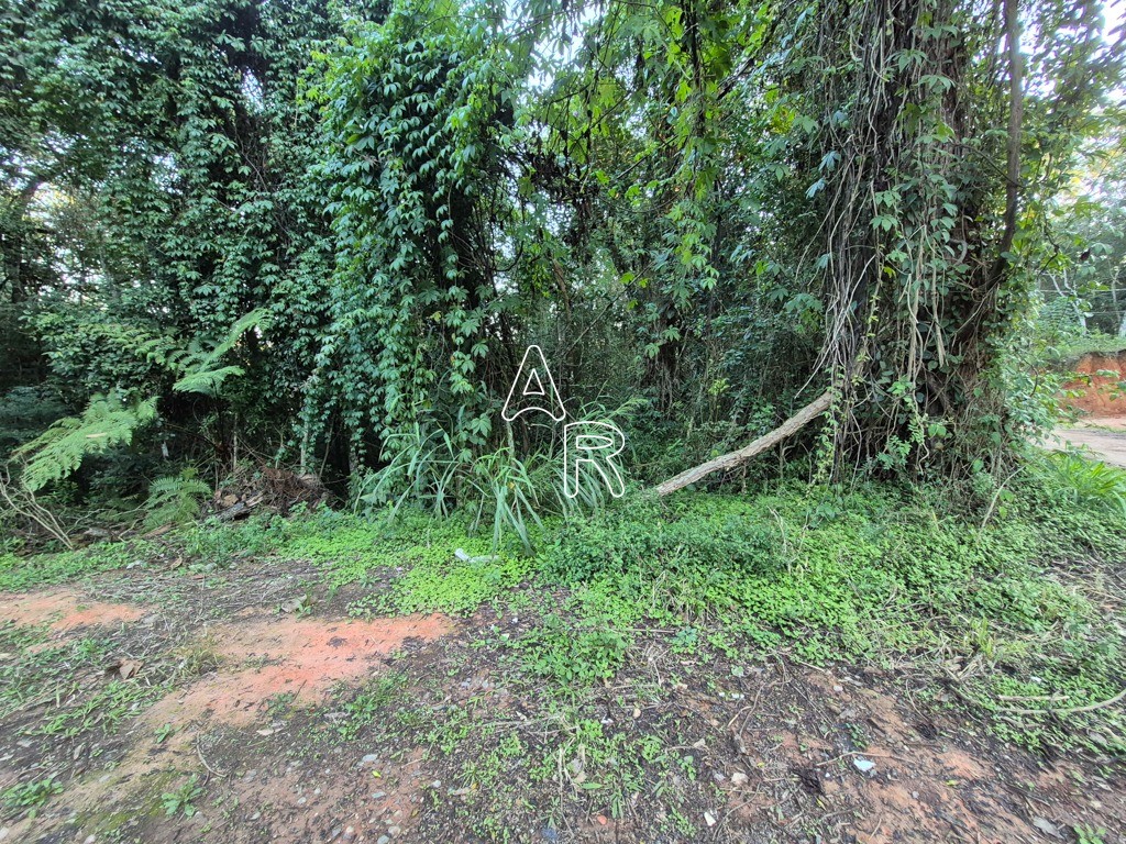 Terreno, 8090 m² - Foto 4