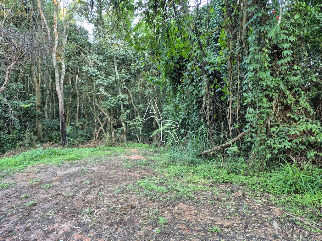 Terreno, 8090 m² - Foto 2