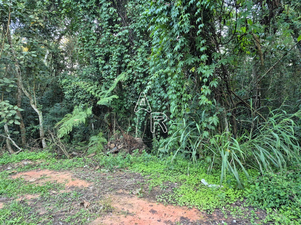 Terreno, 8090 m² - Foto 5