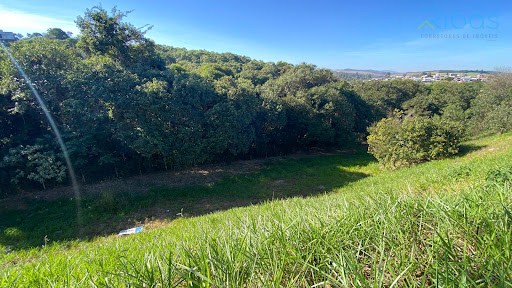 Terreno em Residencial Lagos de Jarinu - Jarinu, SP