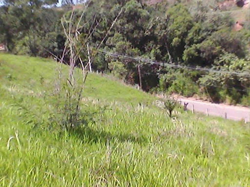 Terreno á venda no bairro Campo Largo -  Jarinu/SP