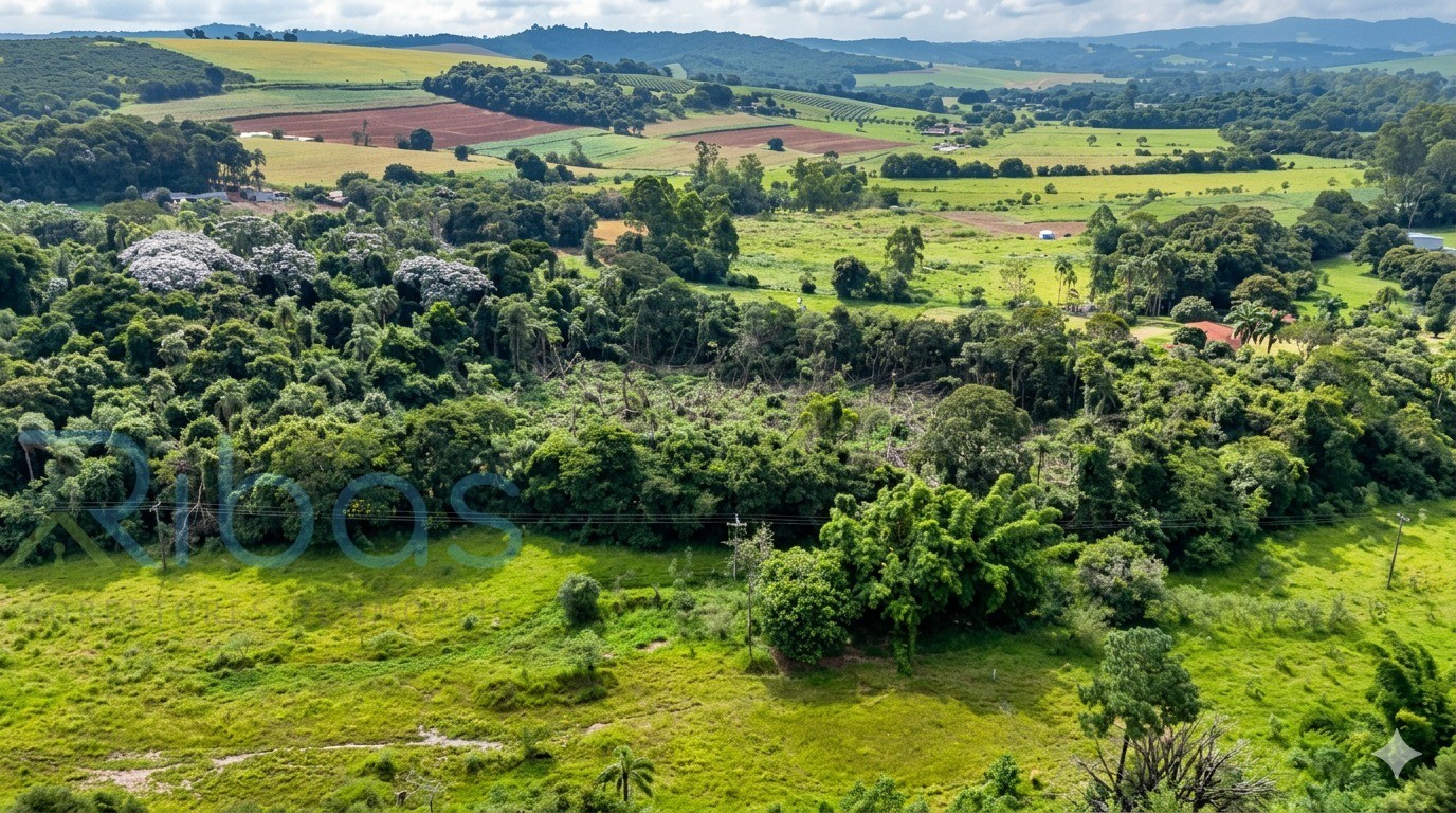 Área, comercial, industrial de 19.758,74 m² à venda em Jarinu-SP, na Ponte Alta: oportunidade imperdível!
