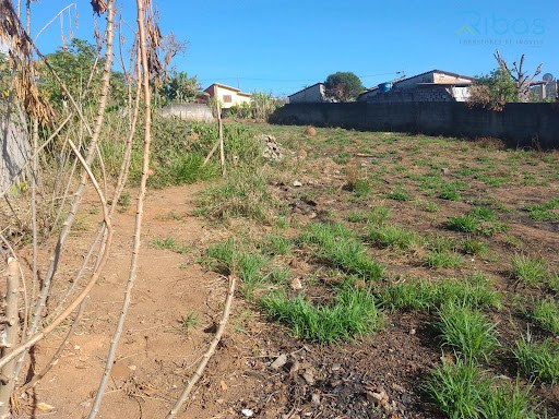 Terreno em Nova Trieste  -  Jarinu