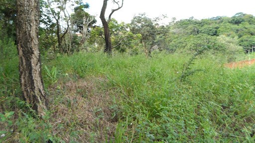 Terreno em Vila Ypê - Jarinu, SP