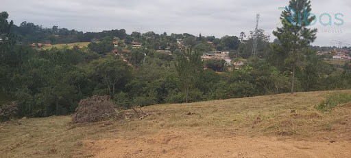 Área Rural em Realengo - Jarinu, SP