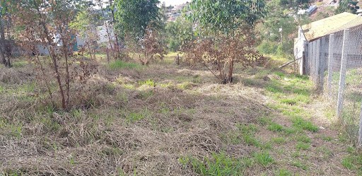 Terreno em Nova Trieste  -  Jarinu