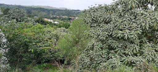 Terreno em Maracanã - Jarinu, SP