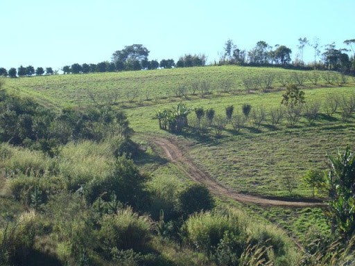 Área á venda no bairro Alambique  -  Jarinu / SP