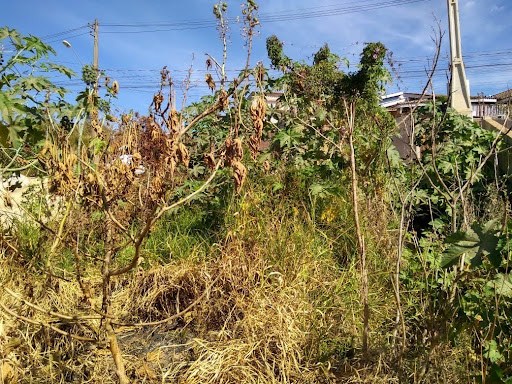 Terreno em Nova Trieste - Jarinu, SP