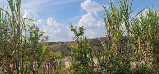 Terreno á venda no bairro Nova Trieste  -  Jarinu/SP