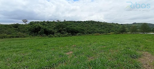 Área em Água Preta  -  Jarinu