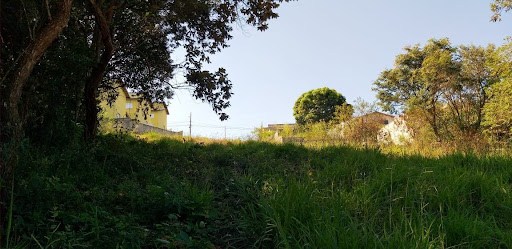 Terreno em Nova Trieste  -  Jarinu