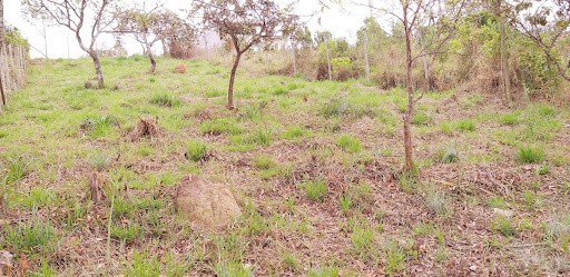 Terreno em Primavera - Jarinu, SP