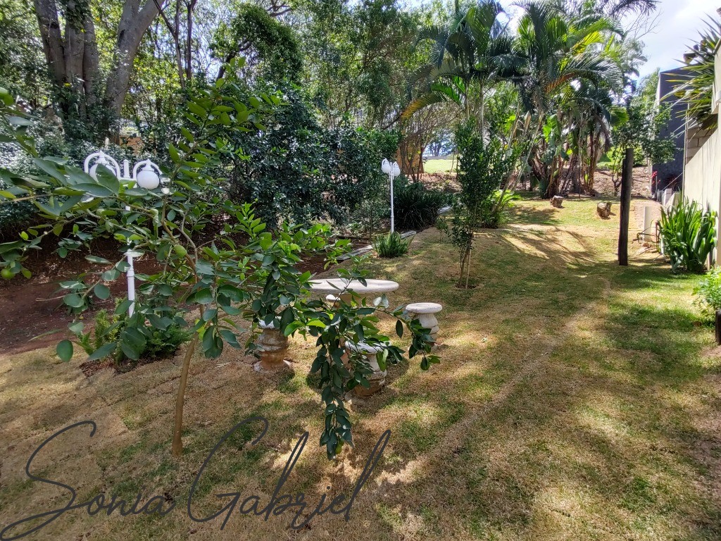 Casa, 4 quartos, 560 m² - Foto 39